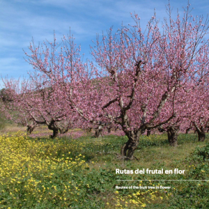 rutal del frutal en flor